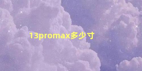 13promax多少寸