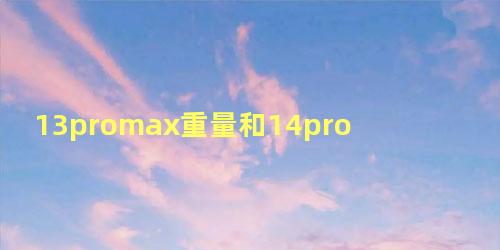 13promax重量和14promax