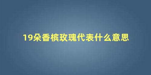 19朵香槟玫瑰代表什么意思