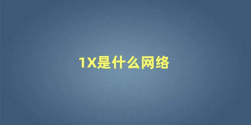 1X是什么网络