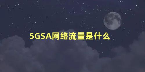 5GSA网络流量是什么