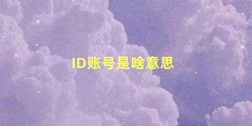 ID账号是啥意思