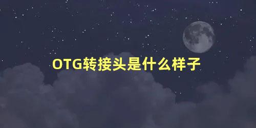 OTG转接头是什么样子