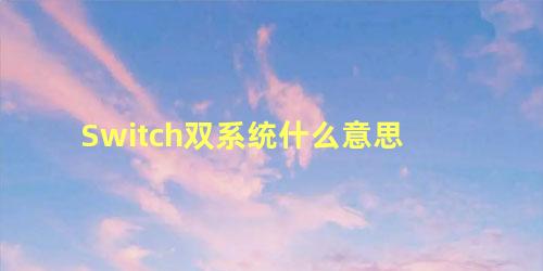 Switch双系统什么意思