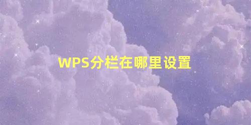 WPS分栏在哪里设置