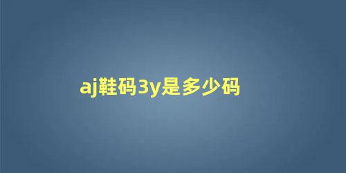 aj鞋码3y是多少码