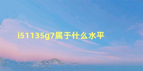 i51135g7属于什么水平