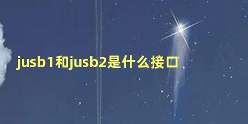 jusb1和jusb2是什么接口