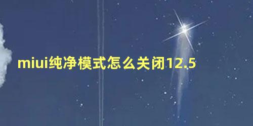 miui纯净模式怎么关闭12.5