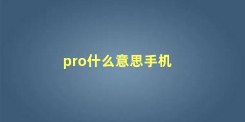 pro什么意思手机