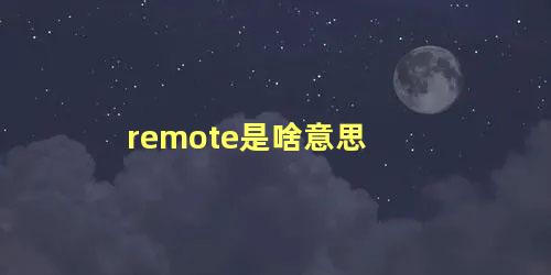 remote是啥意思