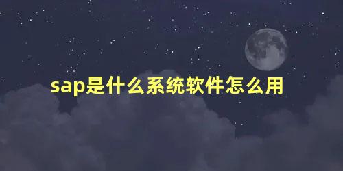 sap是什么系统软件怎么用