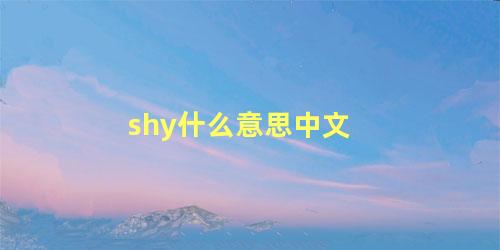 shy什么意思中文