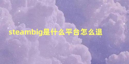 steambig是什么平台怎么退款