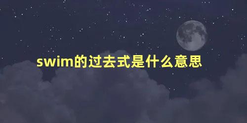 swim的过去式是什么意思