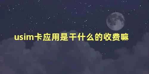 usim卡应用是干什么的收费嘛