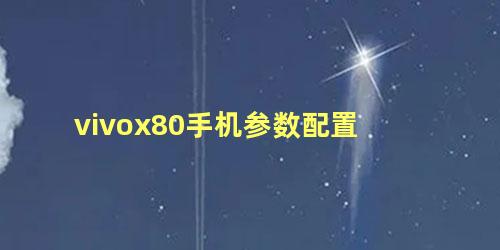 vivox80手机参数配置