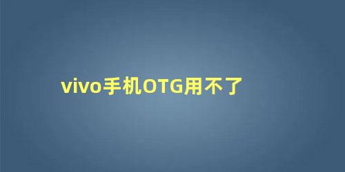 vivo手机OTG用不了