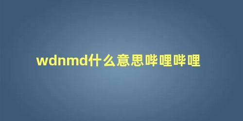 wdnmd什么意思哔哩哔哩