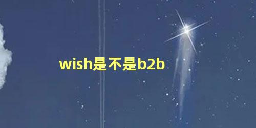 wish是不是b2b