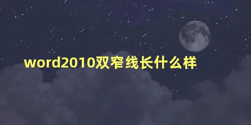 word2010双窄线长什么样