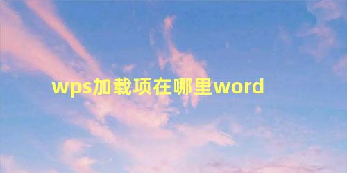 wps加载项在哪里word