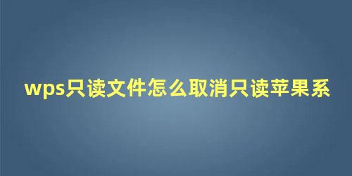 wps只读文件怎么取消只读苹果系统