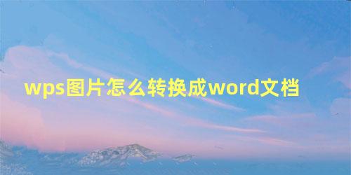 wps图片怎么转换成word文档插件