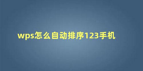 wps怎么自动排序123手机