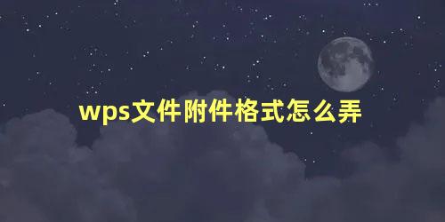 wps文件附件格式怎么弄