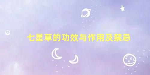 七星草的功效与作用及禁忌