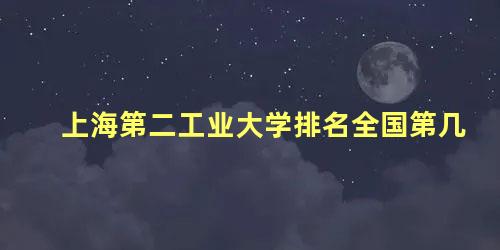 上海第二工业大学排名全国第几