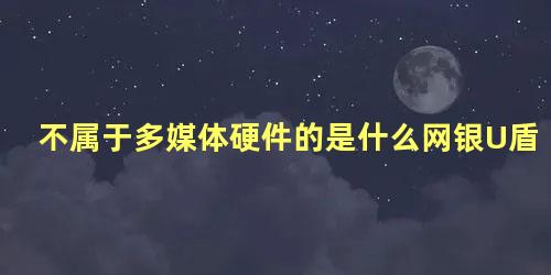 不属于多媒体硬件的是什么网银U盾