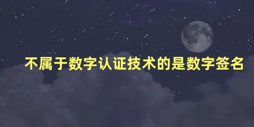 不属于数字认证技术的是数字签名