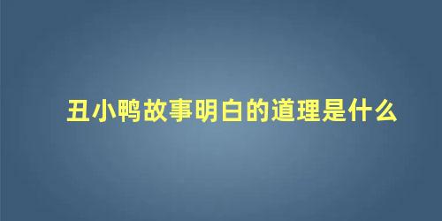 丑小鸭故事明白的道理是什么