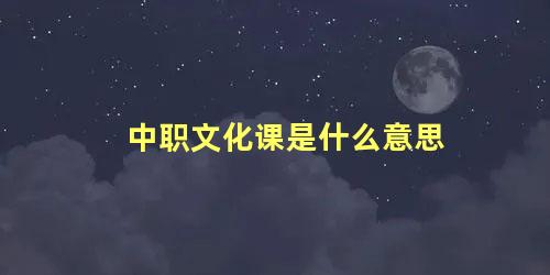 中职文化课是什么意思