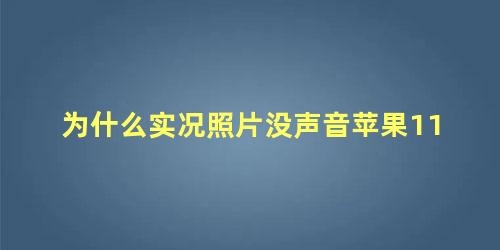 为什么实况照片没声音苹果11