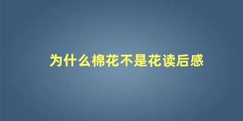 为什么棉花不是花读后感