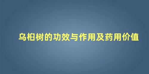 乌桕树的功效与作用及药用价值