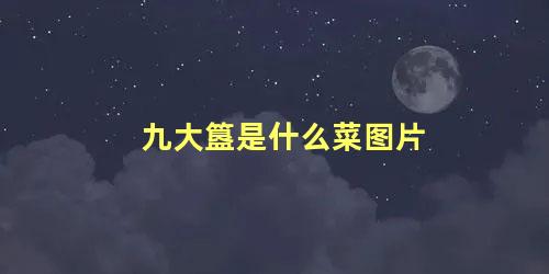 九大簋是什么菜图片