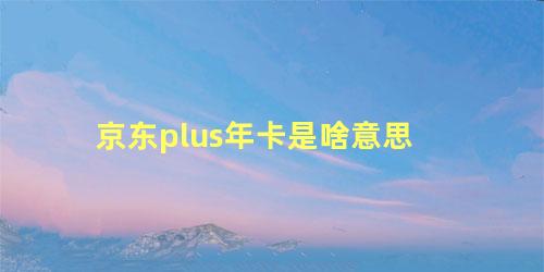 京东plus年卡是啥意思