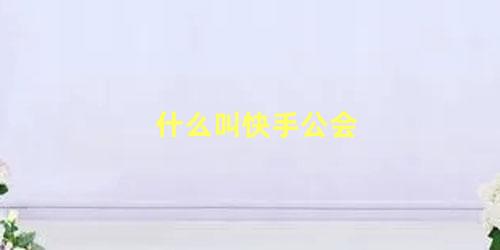 什么叫快手公会