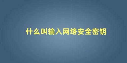 什么叫输入网络安全密钥