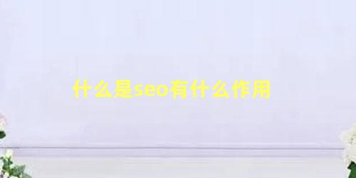 什么是seo有什么作用