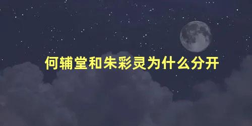 何辅堂和朱彩灵为什么分开