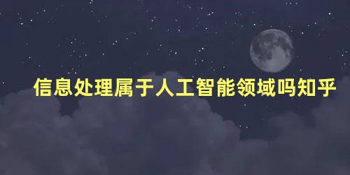 信息处理属于人工智能领域吗知乎