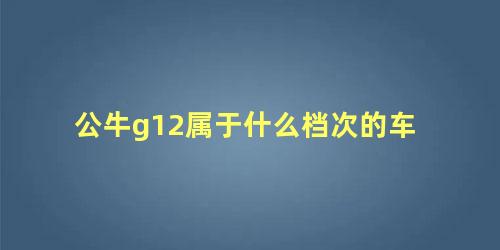 公牛g12属于什么档次的车