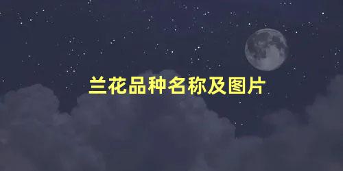 兰花品种名称及图片