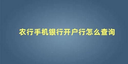 农行手机银行开户行怎么查询