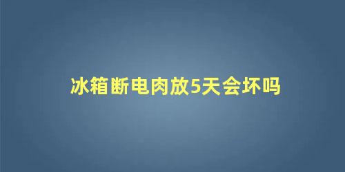 冰箱断电肉放5天会坏吗